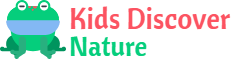 Kids Discover Nature